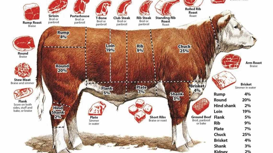 Сколько в среднем весит баран, чистый вес по мясу