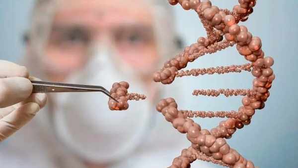 ДНК руками человека: зачем генетики создали первый в мире организм с синтезированным геномом