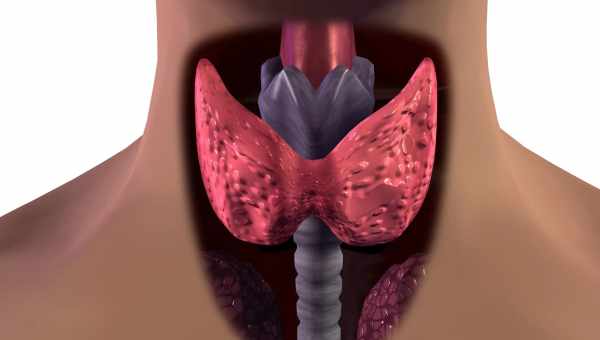 8 симптомів захворювань щитовидної залози: на що варто звернути увагу