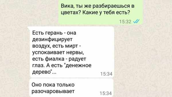 Вопросы бывшему парню по переписке