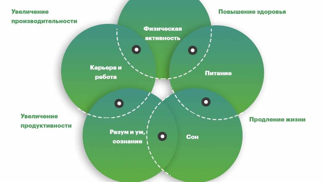 Основные подходы в психологии