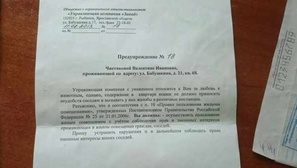 Через сколько времени разводят после подачи заявления