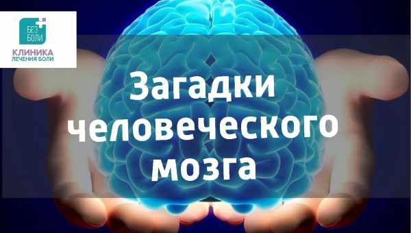 Пять загадок мозга, на которые до сих пор нет ответов