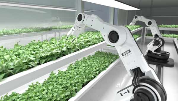 Робот FarmBot автоматизирует выращивание овощей и фруктов
