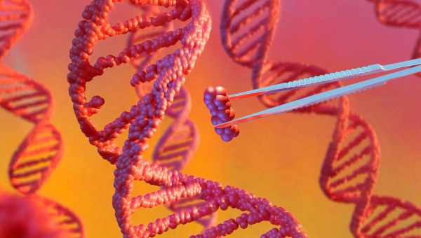 Битва за CRISPR завершилась в пользу Института Броуда